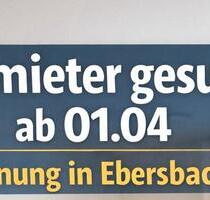Wohnung zum vermieten - 1.038,00&nbsp;EUR Kaltmiete, ca.&nbsp; 96,00&nbsp;m&sup2; in Göppingen (PLZ: 73033)