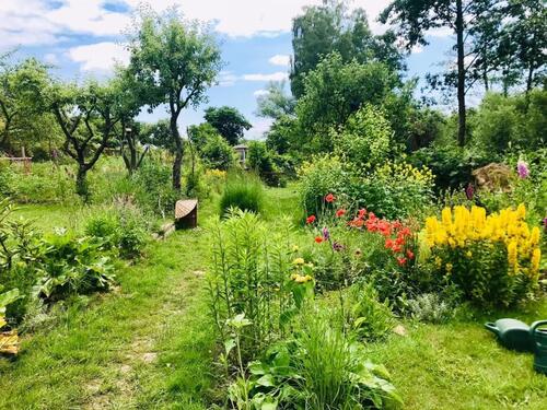 Foto - Naturnaher Kleingarten an der Warnow in Rostock