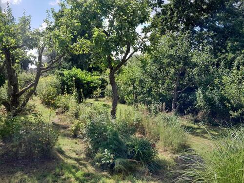 Foto - Grundst&uuml;ck in Rostock