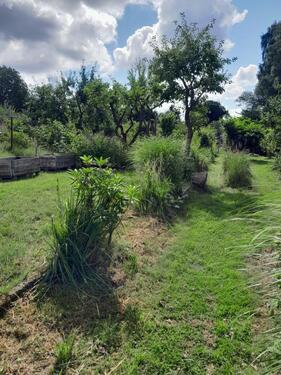 Foto - Grundst&uuml;ck in Rostock zur Miete