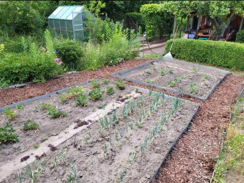 Foto - Ruhiger Kleingarten, Anlage 'Am Hellberg', Südstadt