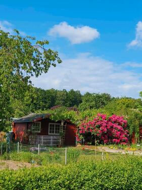 Foto - Achtung! Stadt SYKE!!! 28857 - 2.200,00 EUR Kaltmiete, ca.  0,00 m²