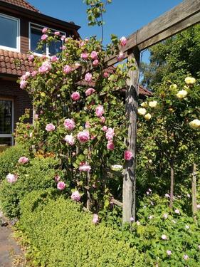 Foto - Etagenwohnung in Rastede zur Miete