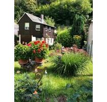 Einfamilienhaus mit separatem Ferienhaus am Wasser - Schwarzatal