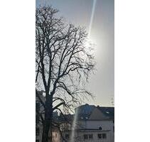 4 Zimmerwohnung mit Balkon 5 min zum Rhein, Schloss, Uni, Stadt - Mannheim Almenhof