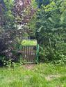 Foto - Grabeland Garten Kleingarten Scharnhorst