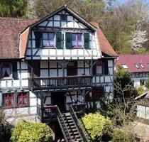Wunderschöne Hofreite (Fachwerkhaus): 3 Wohnungen & viel Natur - Fischbachtal