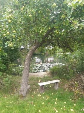 Foto - andere zur Miete in Harpstedt