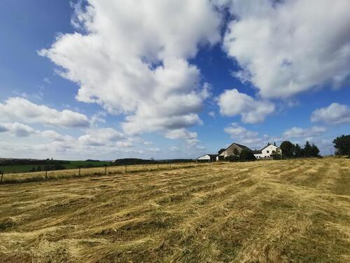 Foto - Einfamilienhaus zum Kaufen in Pronsfeld