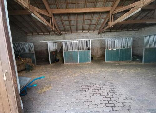 Foto - Einfamilienhaus in Pronsfeld zum Kaufen