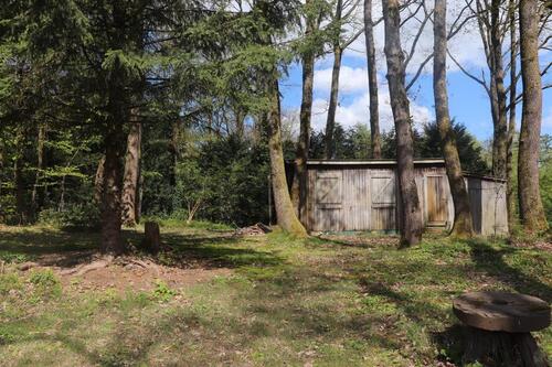 Foto - 2.5 Zimmer Etagenwohnung zur Miete in Waldbröl