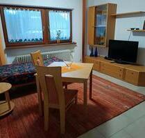 Helle Einzimmerwohnung - nur für Wochenendpendler - Oberstenfeld