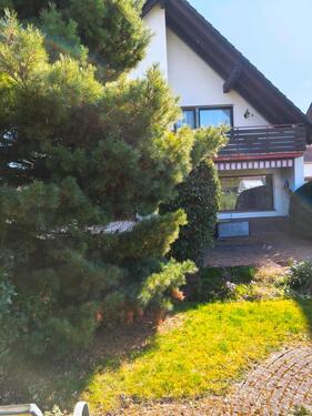 Foto - 5 Zimmer Einfamilienhaus in Calden