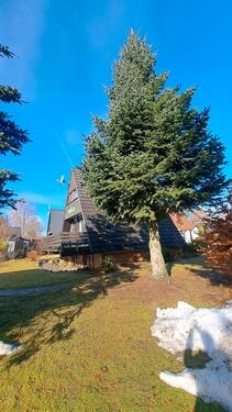 Foto - Einfamilienhaus in Bischofsgrün zum Kaufen