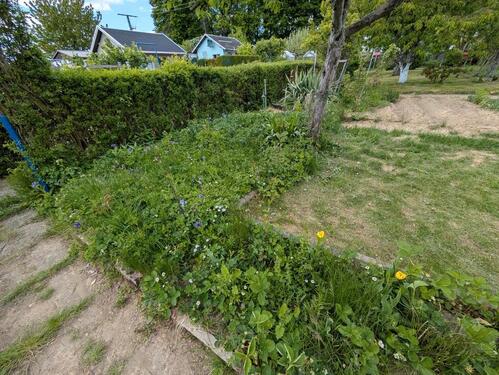 Foto - Grundstück in Oberschöna