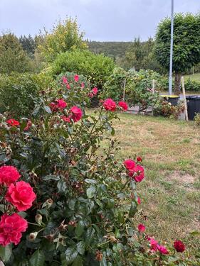 Foto - Einfamilienhaus in Waldsolms zum Kaufen