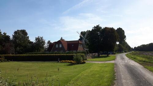 Foto - andere zur Miete in Meldorf