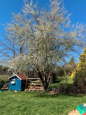 Foto - 5 Zimmer Einfamilienhaus in Vilsbiburg