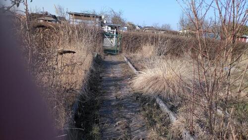 Foto - Gemütlicher Kleingarten abzugeben - Sparte Sonnenland Nähe