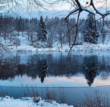 Foto - Apartment für Max. 4 Personen in Hahnenklee