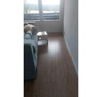 1Zi Appartement 55 plus eigener TgStellplatz 15' FDS- Kniebis - Freudenstadt