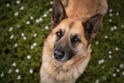 Foto - 