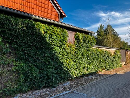 Foto - Einfamilienhaus zum Kaufen in Osterwieck