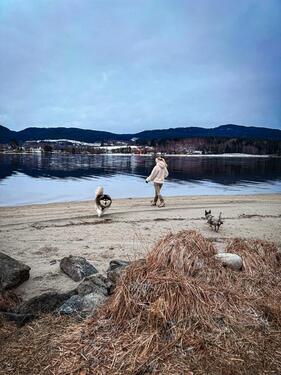 Foto - andere in Osterburken zur Miete