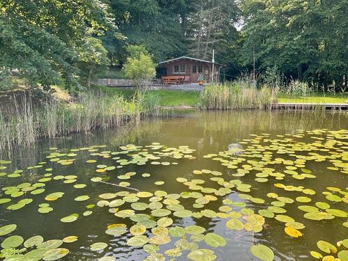 Foto - Kleiner Bungalow am See zu vermieten, inkl. Kanu