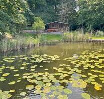 Kleiner Bungalow am See zu vermieten, inkl. Kanu - Rheinsberg