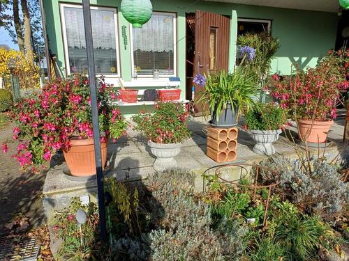 Foto - Grundst&uuml;ck in Prohn