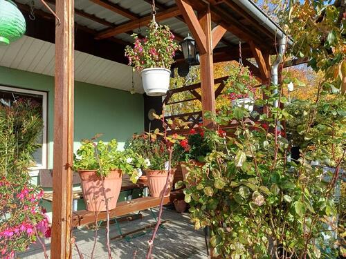 Foto - Grundst&uuml;ck in Prohn zur Miete