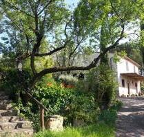 Toskana Ferienhaus mit Meerblick im Olivenhain - Sulingen