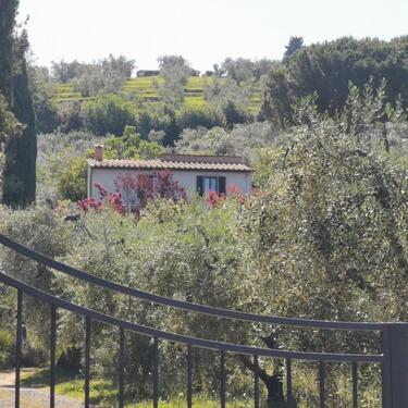 Foto - andere zur Miete in Sulingen