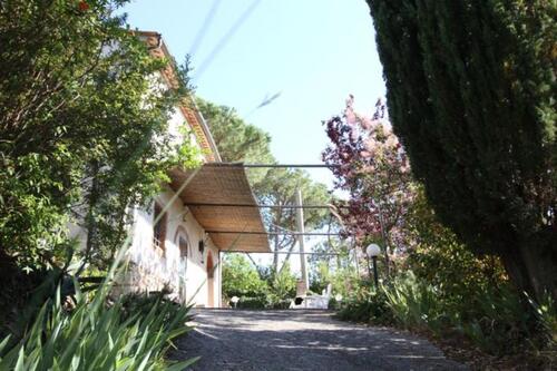 Foto - andere in Sulingen