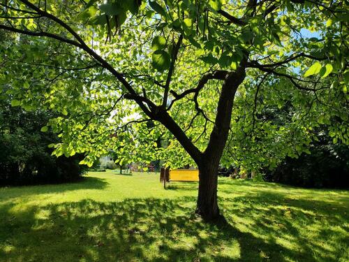 Foto - Einfamilienhaus in Porta Westfalica