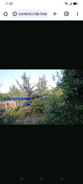 Foto - 3 Zimmer Einfamilienhaus in Erfurt