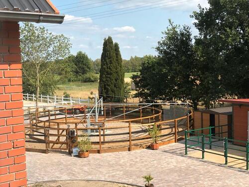 Foto - 3 Zi Wohnung OG wohnenarbeiten mit Pferd 110m2