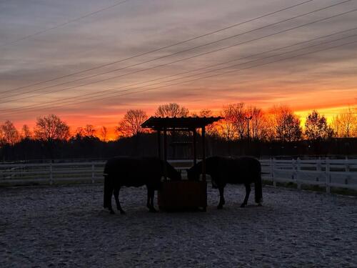 Foto - 3 Zimmer Dachgeschoßwohnung zur Miete in Ottersberg