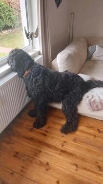 Foto - Alarmanlage - 1.500,00&nbsp;EUR Kaltmiete, ca.&nbsp; 80,00&nbsp;m&sup2;