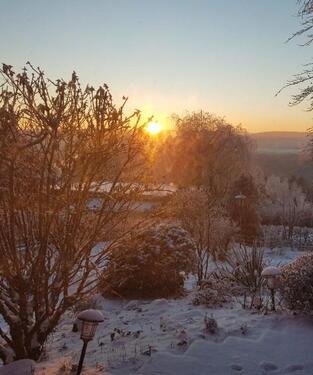 Foto - Helles, Einfamilienhaus mit großem Garten zu vermieten! Bestlage!