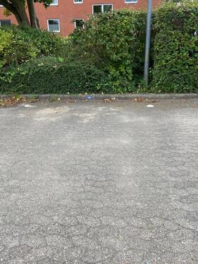 Foto - andere zur Miete in Kiel