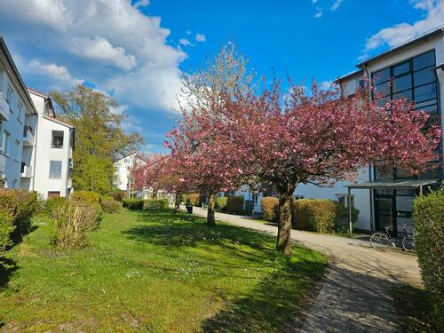 Foto - Sonnige 4-Zimmer Wohnung (barrierefrei) mit Garten