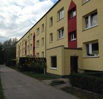 Zweizimmerwohnung Damsdorf am Waldrand - Kloster Lehnin