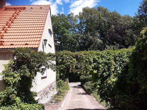 Foto - 7 Zimmer Einfamilienhaus in Wittenberg Lutherstadt