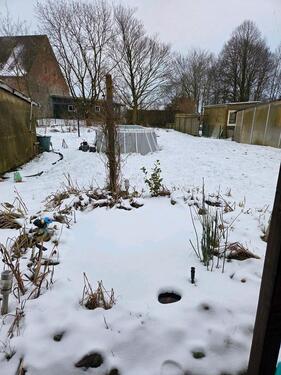Foto - Haus zur Miete in Norderwöhrden, Dithmarschen Anfragestopp