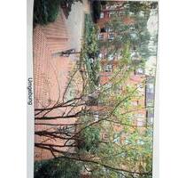 Wohnung zu vermieten - 720,00&nbsp;EUR Kaltmiete, ca.&nbsp; 26,00&nbsp;m&sup2; in Köln (PLZ: 50939) Lindenthal