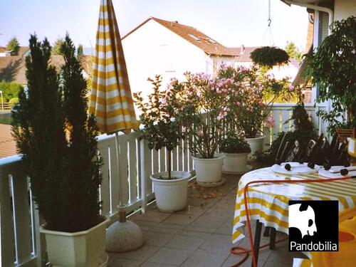 Foto - 4 Zimmer Etagenwohnung in Sylt