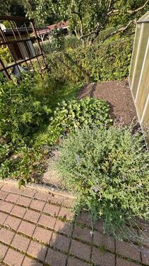 Foto - Grundst&uuml;ck in Lichtenau zur Miete