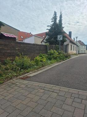 Foto - 4 Zimmer Einfamilienhaus zum Kaufen in Osternienburger Land